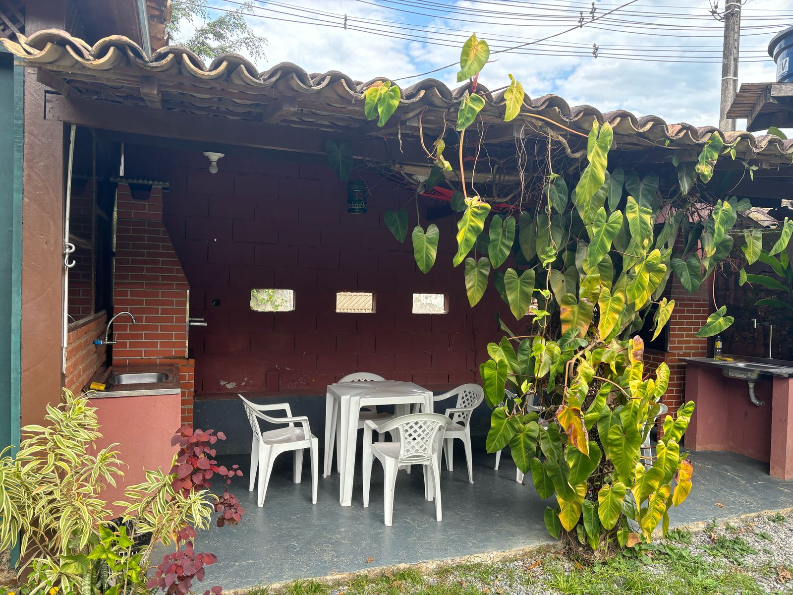 Imagem de Galeria